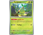 Tortipouss Pv 80 010/162 - Carte Commune - Écarlate et Violet Forces Temporelles