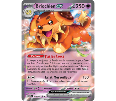 Briochien-ex Pv 250 067/142 - Carte Double Rare - Écarlate et Violet Couronne Stellaire