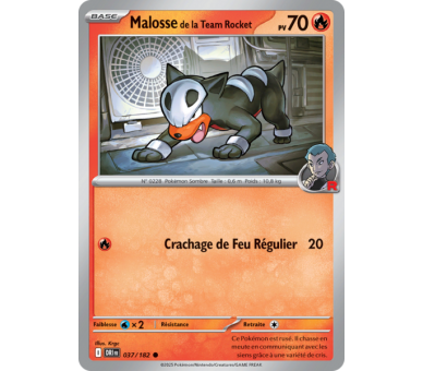 Malosse de la Team Rocket Pv  70 37/182 – Carte Commune Reverse – Écarlate et Violet Rivalités Destinées