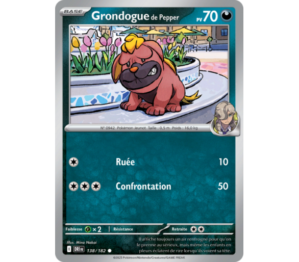 Grondogue de Pepper Pv 70 138/182 – Carte Commune Reverse – Écarlate et Violet Rivalités Destinées