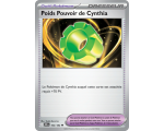 Outil Poids Pouvoir de Cynthia 162/182 - Carte Peu Commune Reverse - Écarlate et Violet Rivalités Destinées