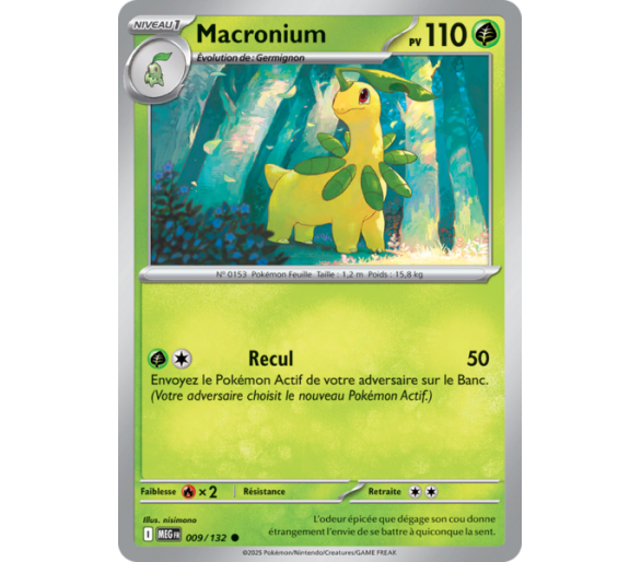 Macronium Pv 110 009/132 - Carte Commune - Méga-Évolution