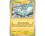 Pachirisu Pv 70 051/132 - Carte Commune - Méga-Évolution