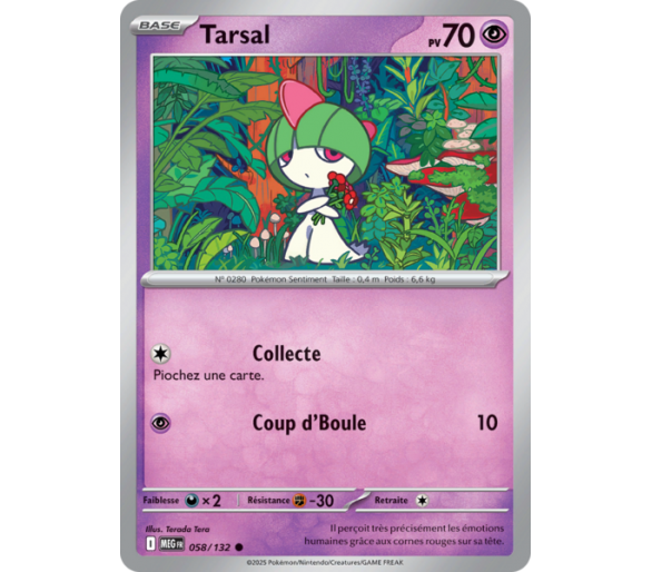 Tarsal Pv 70 058/132 - Carte Commune - Méga-Évolution