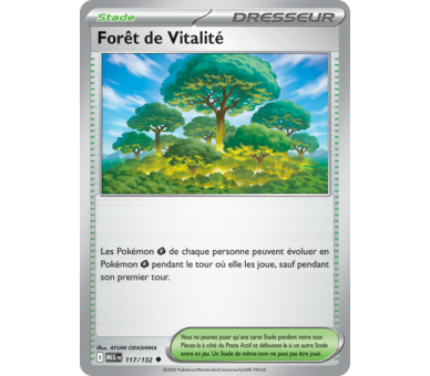 Stade Forêt de Vitalité 117/132 - Carte Peu Commune - Méga-Évolution