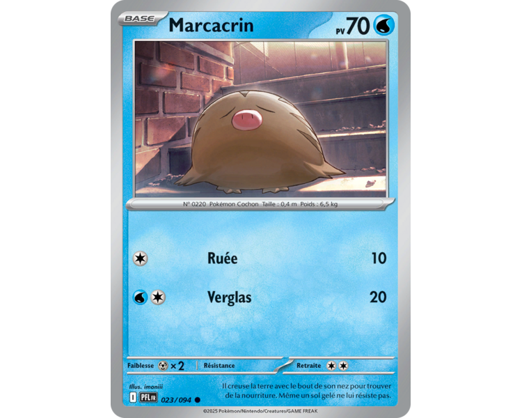 Marcacrin Pv 70 023/094 - Carte Commune Reverse - Méga-Évolution Flammes Fantasmagoriques