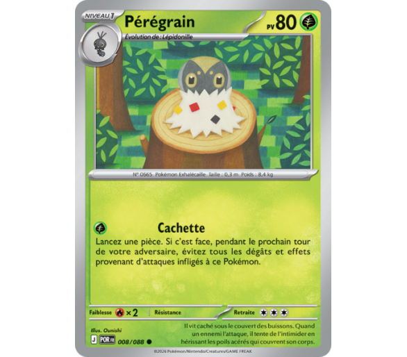 Pérégrain Pv 80 008/88 - Carte Commune Reverse - Méga-Évolution Équilibre Parfait