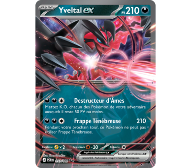 Yveltal-ex Pv 210 053/88 - Carte Double Rare - Méga-Évolution Équilibre Parfait