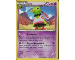 Xatu 90 PV - 29/108 CIEL RUGISSANT