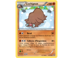 Cochignon Pv 100 Carte Peu Commune - 81/162 - XY08
