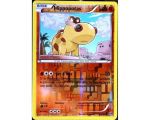 Hippopotas Pv 80 Carte Reverse Commune - 83/162 - XY08