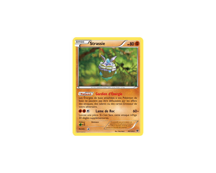 Strassie Carte Rare Pv 80 - 49/124 - XY10