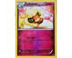 Farfaduvet  Carte Reverse Peu Commune Pv 90 - 71/124 - XY10