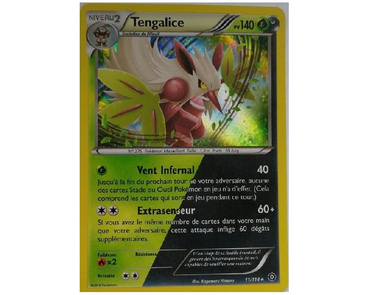Tengalice Carte Double Energie Holo Rare 140 Pv - 11/114 - XY11