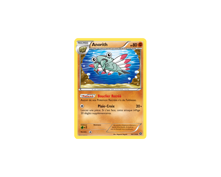 Anorith Carte Peu Commune 80 Pv - 56/114 - XY11