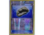 Fossile Griffe Anorith Carte Reverse Peu Commune - 100/114 - XY11