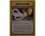 Lien Spirituel Roucarnage Carte Peu Commune - XY12 - 81/108