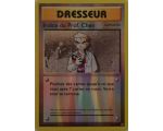 Indice Du Prof. Chen Carte Reverse Peu Commune - XY12 - 84/108