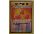 Rappel Carte Reverse Peu Commune - XY12 - 85/108