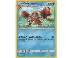 Colhomard Carte Rare 110 Pv - SL4 - 25/111