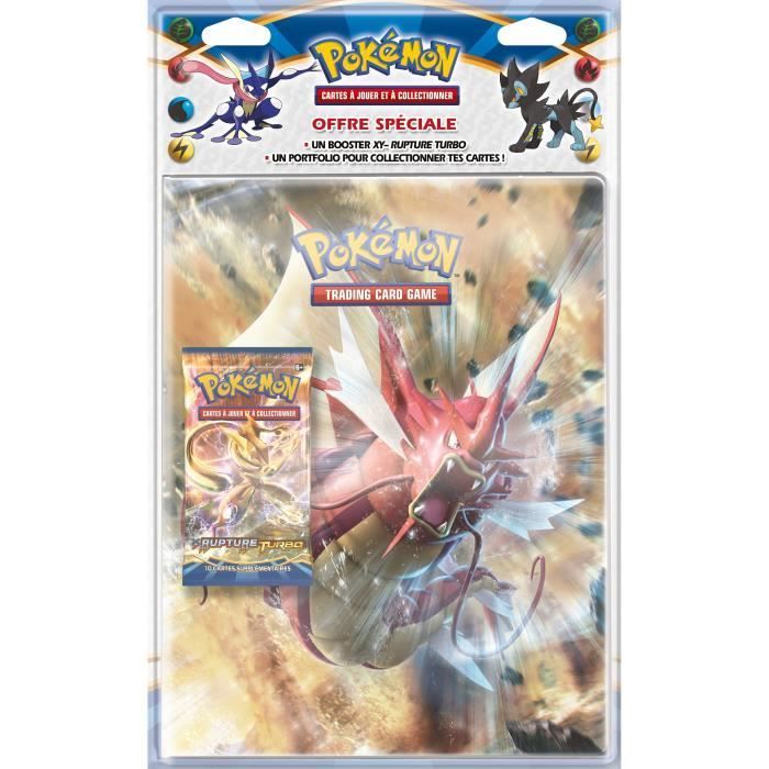 Cahier de rangement cartes Pokémons et lot de 200 cartes Pokémon Série XY  Rupture Turbo