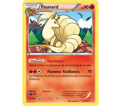 Feunard 90 PV - 21/160 PRIMO CHOC XY