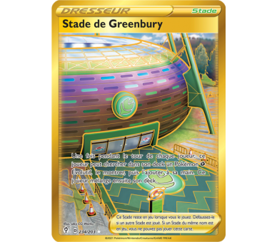Stade de Greenbury 234/203 - Carte Secrète Gold - Épée et Bouclier - Évolution Céleste