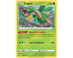 Tropius Pv 110 5/172 - Carte Peu Commune - Épée et Bouclier - Stars Étincelantes