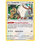 Castorno Pv 110 - 060/078 - Carte Commune - Épée et Bouclier - Pokémon GO