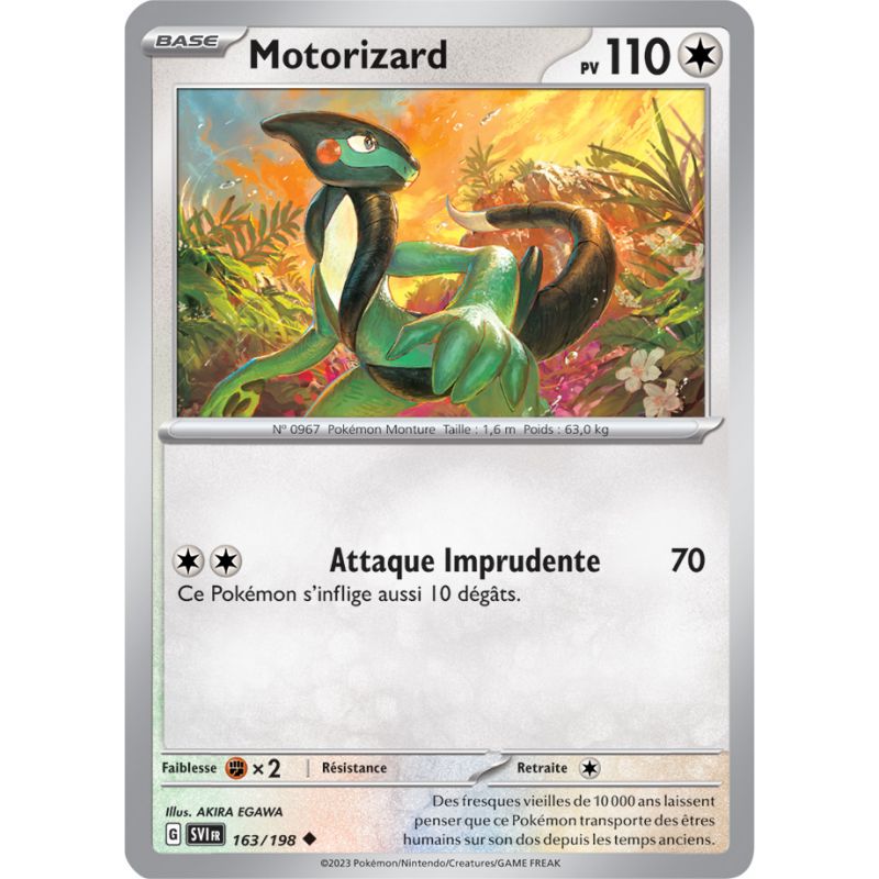 Carte géante motorizard ex